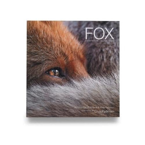 FOX: Neighbour Villain Icon