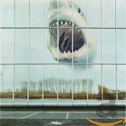 CD cover: Great white shark seen through a grid of windows.