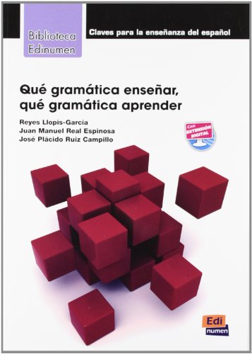 Que Gramatica Ensenar : Que Gramatica Aprender?