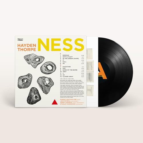Hayden Thorpe's "Ness" vinyl record with illustrated cover and tracklist.