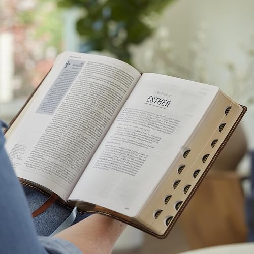 Life in Christ Bible: Discovering, Believing, and Rejoicing in Who God Says You Are (NKJV, Brown Bonded Leather, Thumb Indexed, Red Letter, Comfort Print)