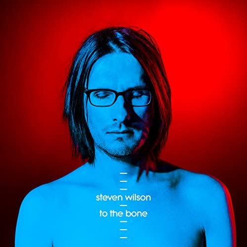 Steven Wilson portrait album cover, blue and red color scheme.