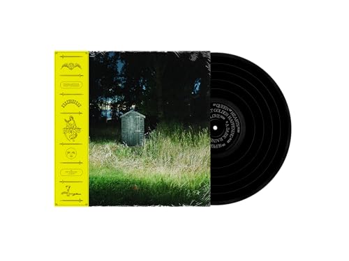 Frank Carter & The Rattlesnake "Dark Rainbow" vinyl record with graveyard imagery.