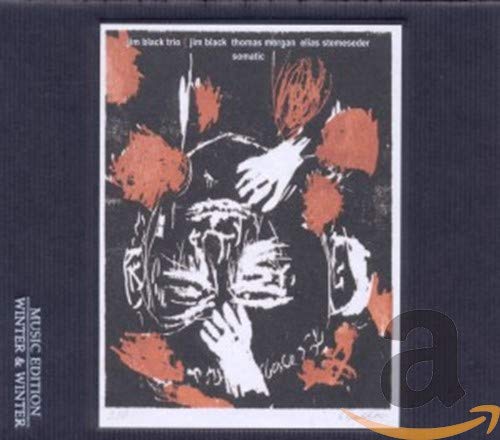 CD case for “Somatic” by Black Jim Trio, abstract black and orange art.