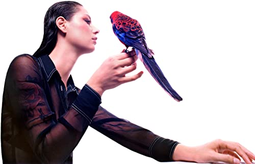 Woman with wet hair and a red-and-blue bird on her hand.