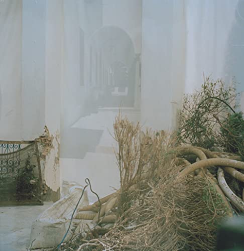 Overgrown plants in front of a blurred, arched doorway.