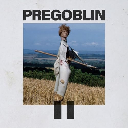 Album cover for Pregoblin II featuring a scarecrow-like figure in a field.