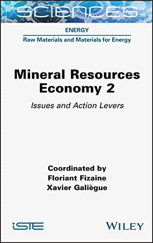 Mineral Resource Economics and the Sustainability Challenge 2: Issues and Action Levers