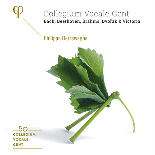 CD cover for Collegium Vocale Gent’s 50th anniversary, featuring foliage.