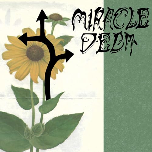 Album cover for Miracle Debt: sunflowers and black arrows on split background.