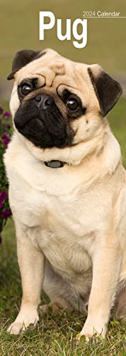 Pug Slim Calendar 2024 | Dog Breed Slimline Calendar - 12 Month