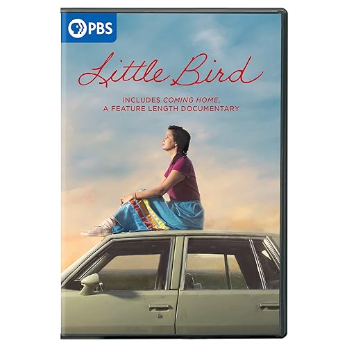 Little Bird" DVD cover featuring a woman sitting on a car roof.