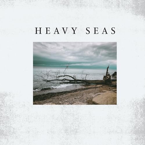 Album cover for Heavy Seas: “Distortion Days” featuring a seascape and driftwood.