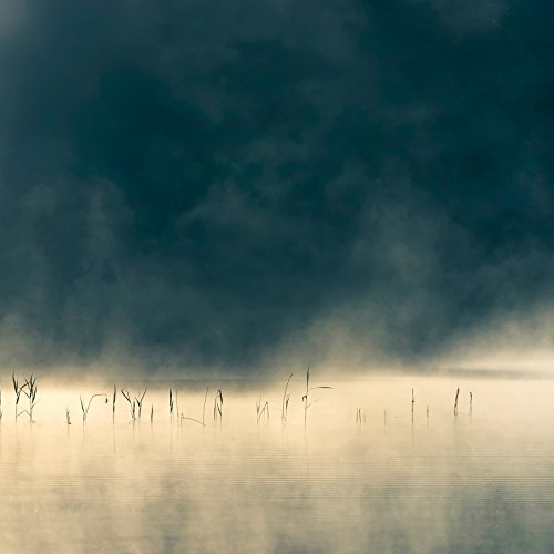 Dark, misty landscape with reeds emerging from a foggy water surface.