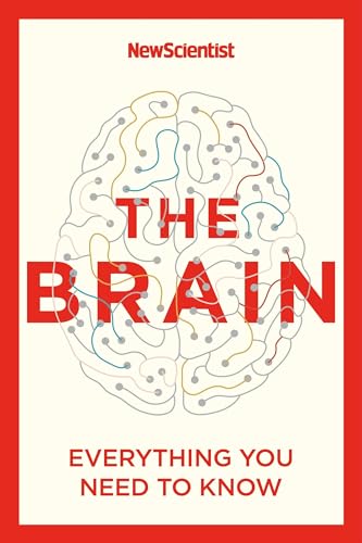 The Brain