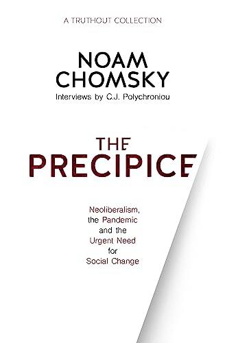 The Precipice: Neoliberalism
