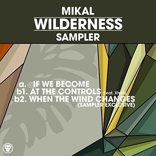 Vinyl record cover for “Wilderness Sampler” with abstract geometric design.