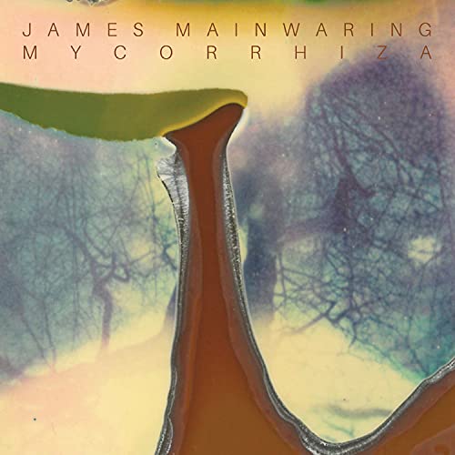 CD cover for James Mainwaring’s “Mycorrhiza” with abstract forest imagery.