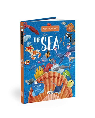 What, How, Why The Sea (QUESTIONS ANSWERS)