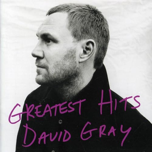 Black and white profile portrait of David Gray with purple text overlay.
