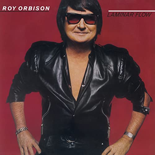 Roy Orbison in sunglasses and a black leather jacket, album cover.