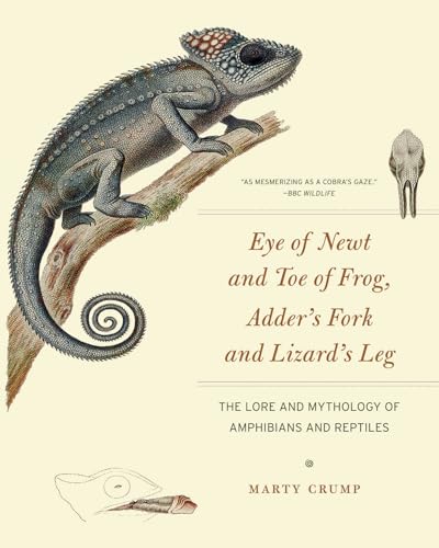 Eye of Newt and Toe of Frog, Adder's Fork and Lizard's Leg : The Lore and Mythology of Amphibians and Reptiles