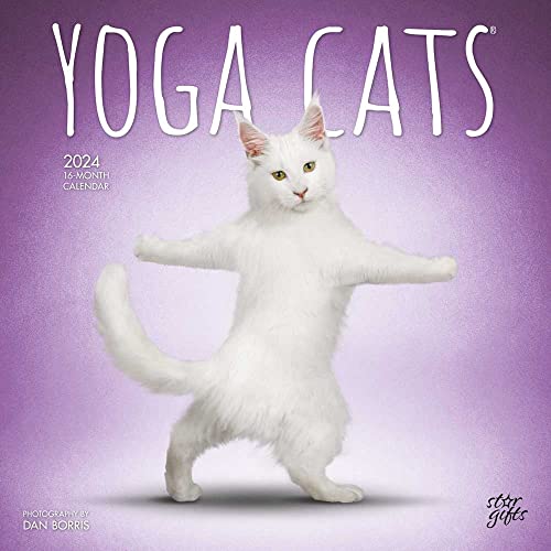 Yoga Cats OFFICIAL | 2024 12 x 24 Inch Monthly Square Wall Calendar | Sticker Sheet | StarGifts | Animals Humor Pets