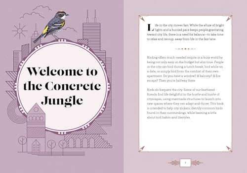 City Bird : Explore the Charming Metropolitan Melodies of Our Feathered Friends