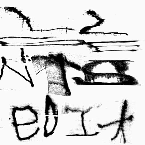 Abstract black brushstrokes and distorted text on a white background.