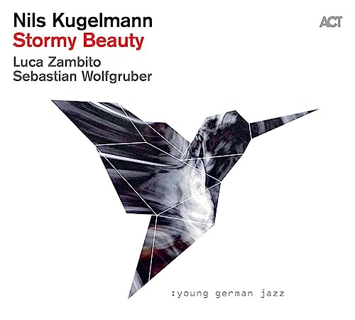 CD cover for Nils Kugelmann’s “Stormy Beauty” featuring a fractured hummingbird.