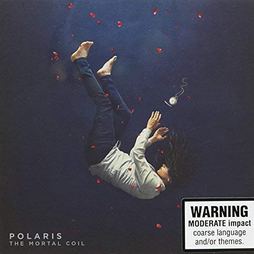 Album cover: person falling amidst red petals, with a compass nearby.