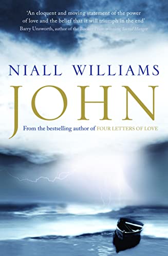 Book cover for “John” by Niall Williams, featuring stormy seas and lightning.