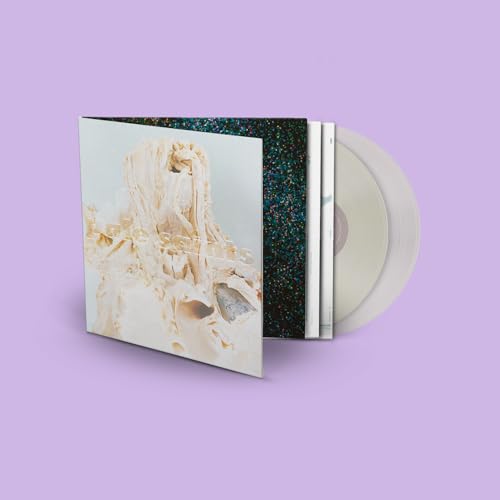 Pale Saints "In Ribbons" 30th Anniversary vinyl record and cover art.