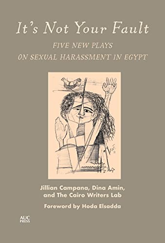 It's Not Your Fault: Five New Plays on Sexual Harassment in Egypt
