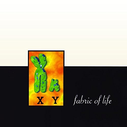 CD cover with a colorful cactus illustration and text "fabric of life".