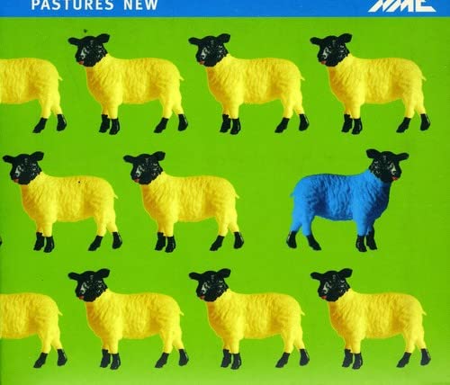 CD cover with repeating yellow sheep and one blue sheep on green.