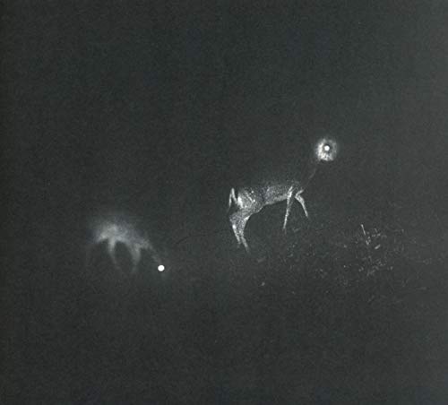 Black and white image of a deer illuminated by bright lights.