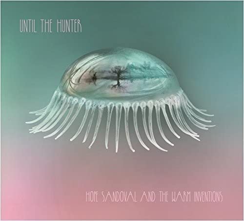 AlbumLuminousCBL album cover featuringSS featuring a translucent jellyfish with a landscape inside.