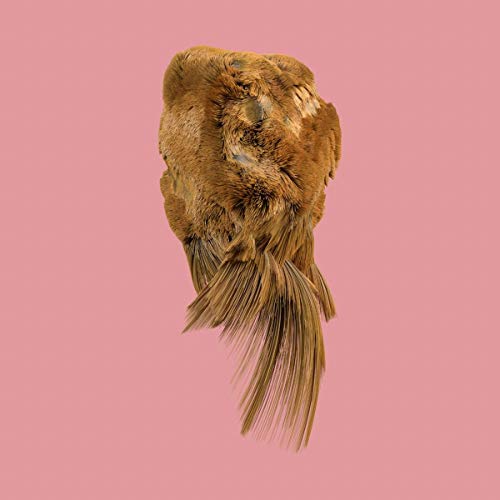 CD cover with abstract, textured brown and pink image.