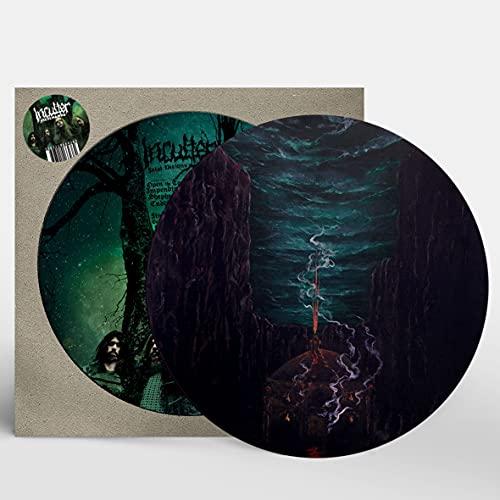 Picture disc vinyl record with dark landscape and cabin imagery.