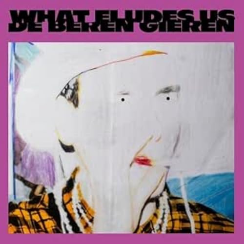 Album cover: abstract portrait with bold text "De Beren Gieren".