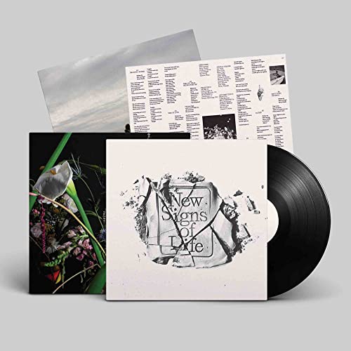 Vinyl record, album cover with broken stone imagery, and accompanying inserts.
