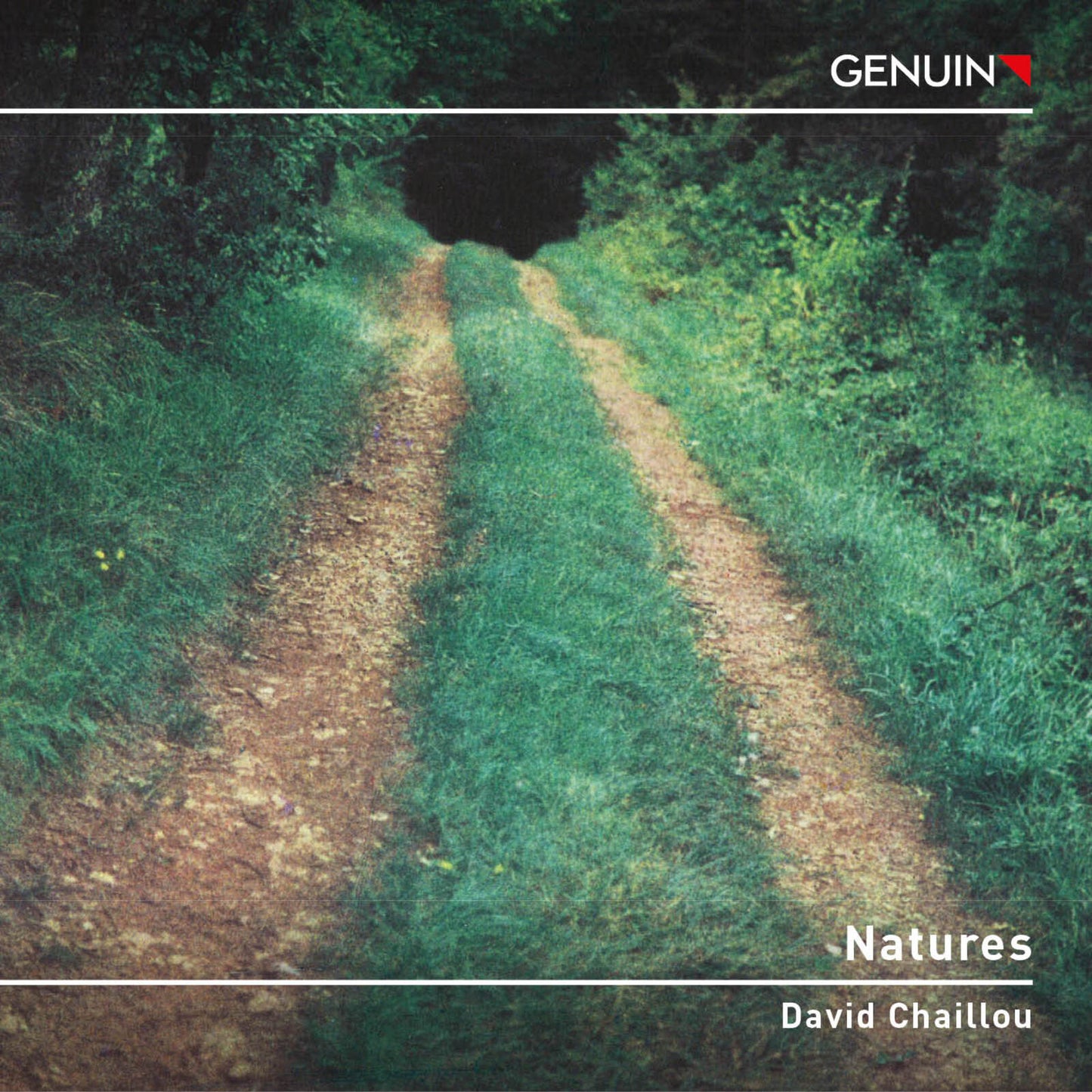 CD cover: a dirt path through lush green foliage, text "Natures".