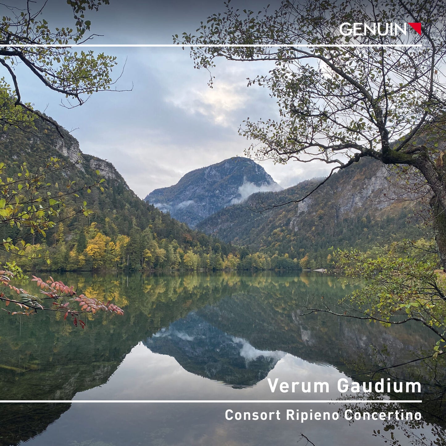 CD cover with a landscape of mountains, water, and trees.