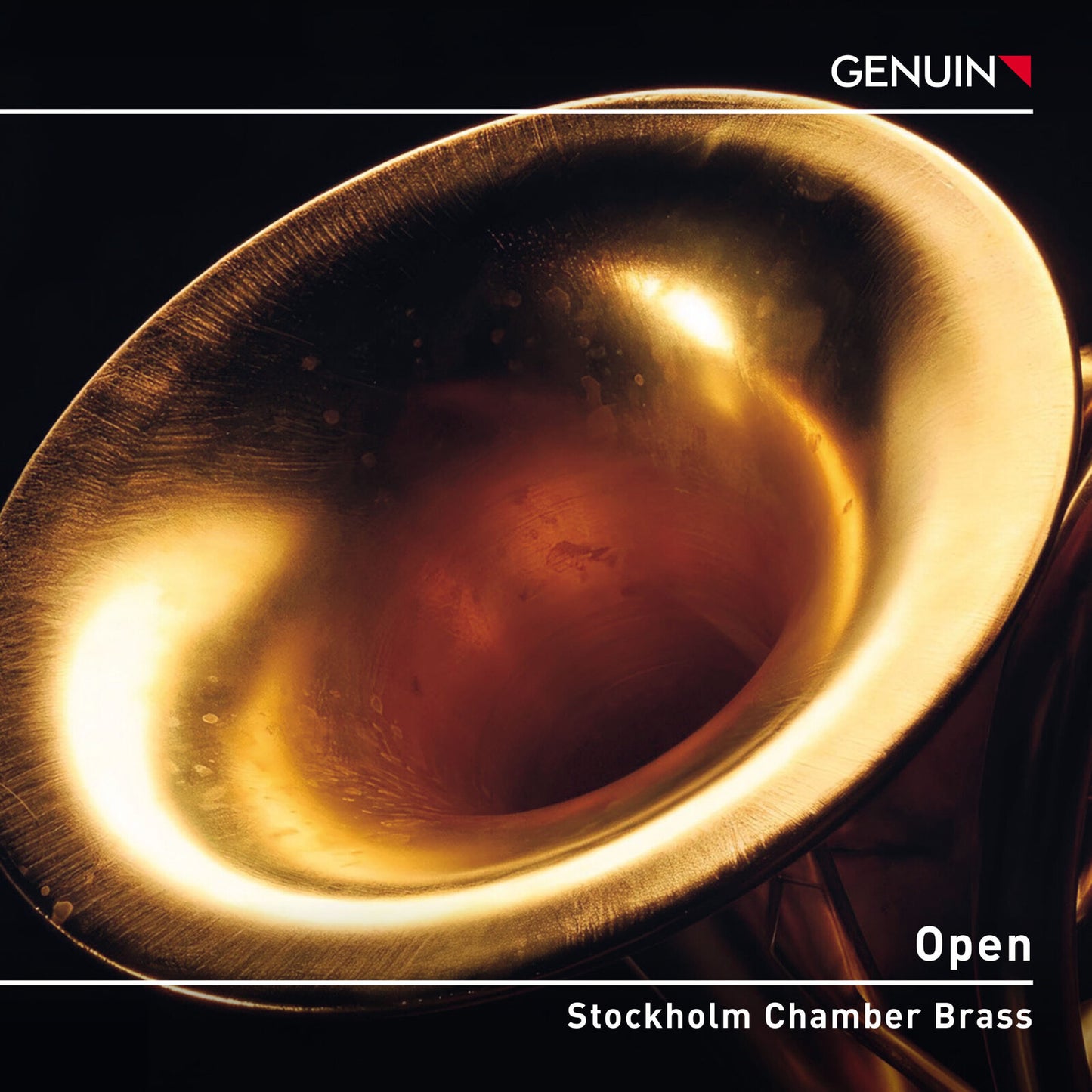 Close-up of a polished brass instrument bell with light reflections.