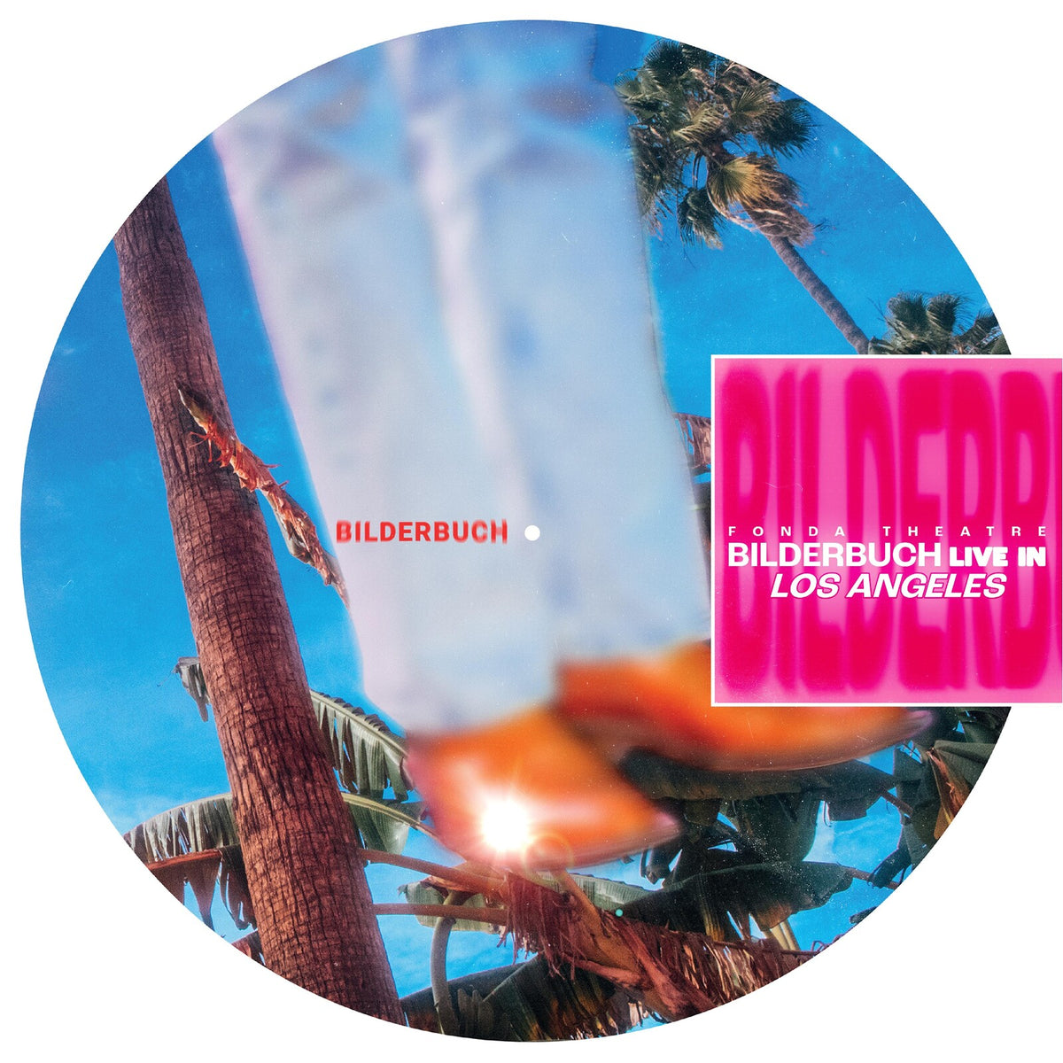 Vinyl record cover: palm trees, blue sky, and band name "Bilderbuch".