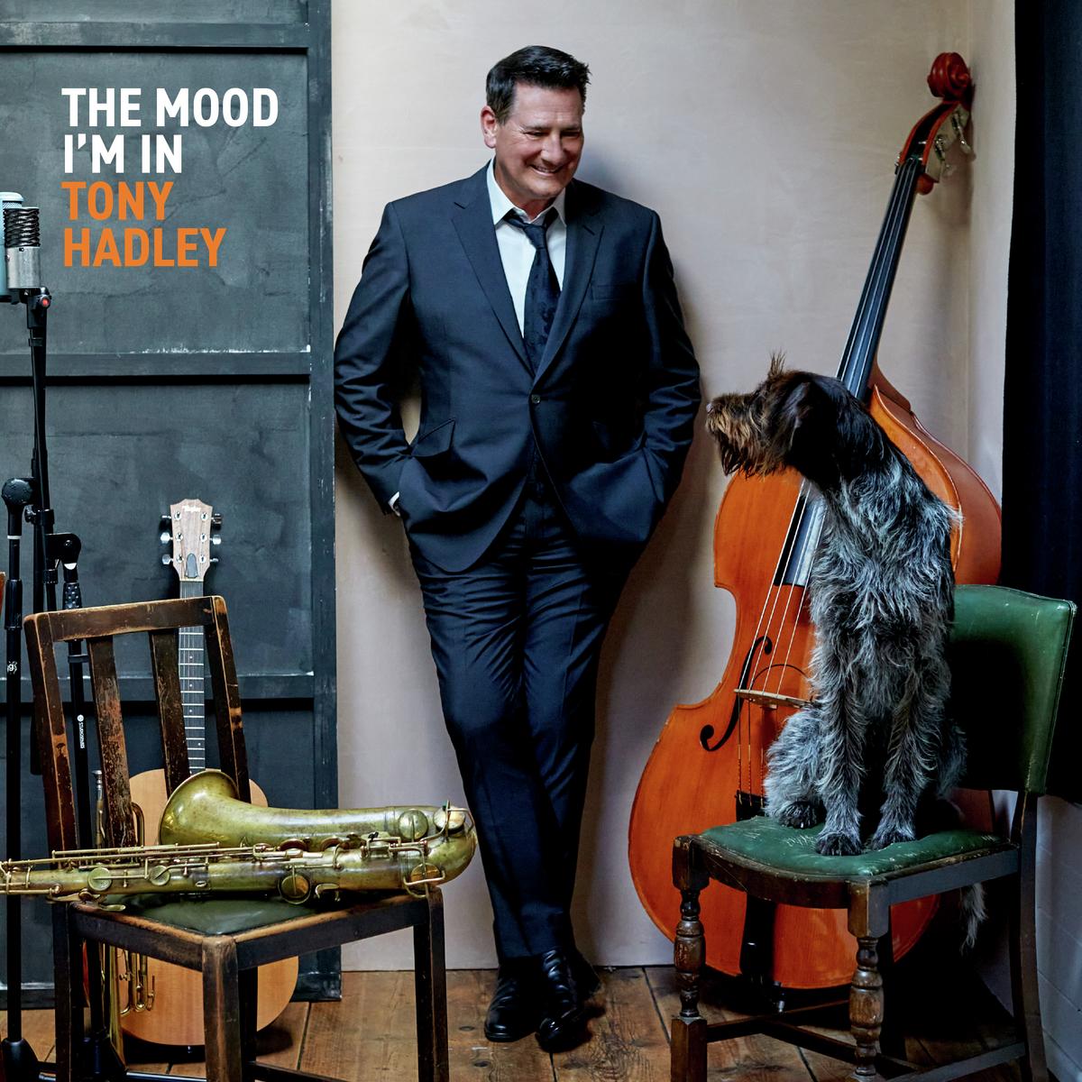 Tony Hadley album cover with singer, dog, and musical instruments.