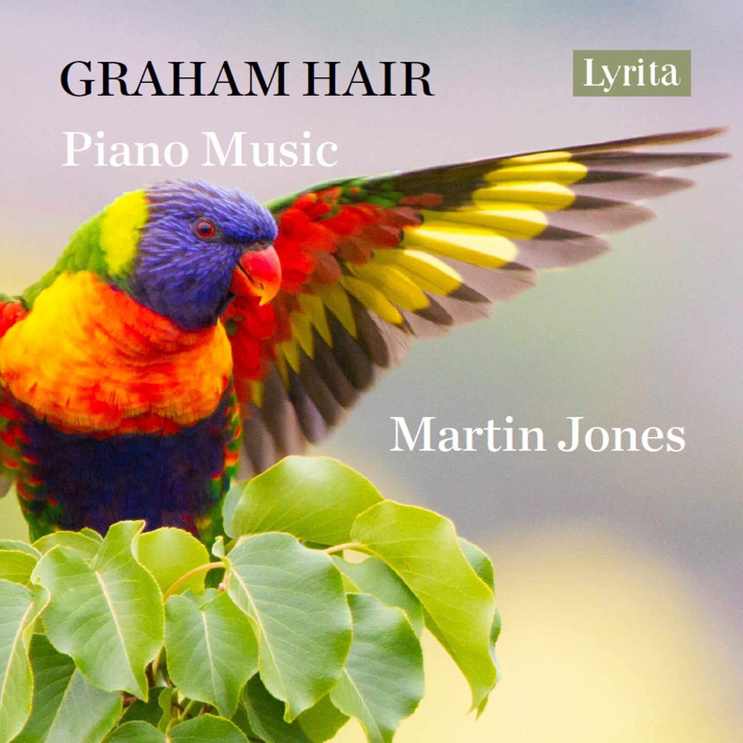 CD cover: rainbow lorikeet, text “Hair / Jones - Piano Music”.