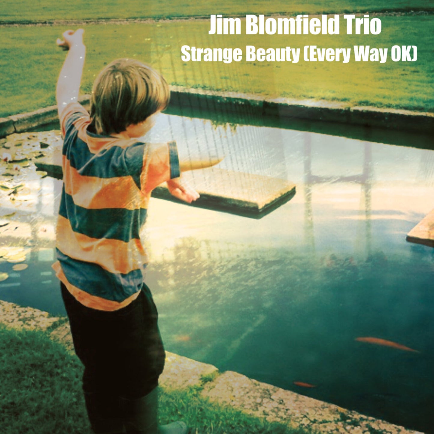 CD cover featuring a child looking into a pond with lily pads.