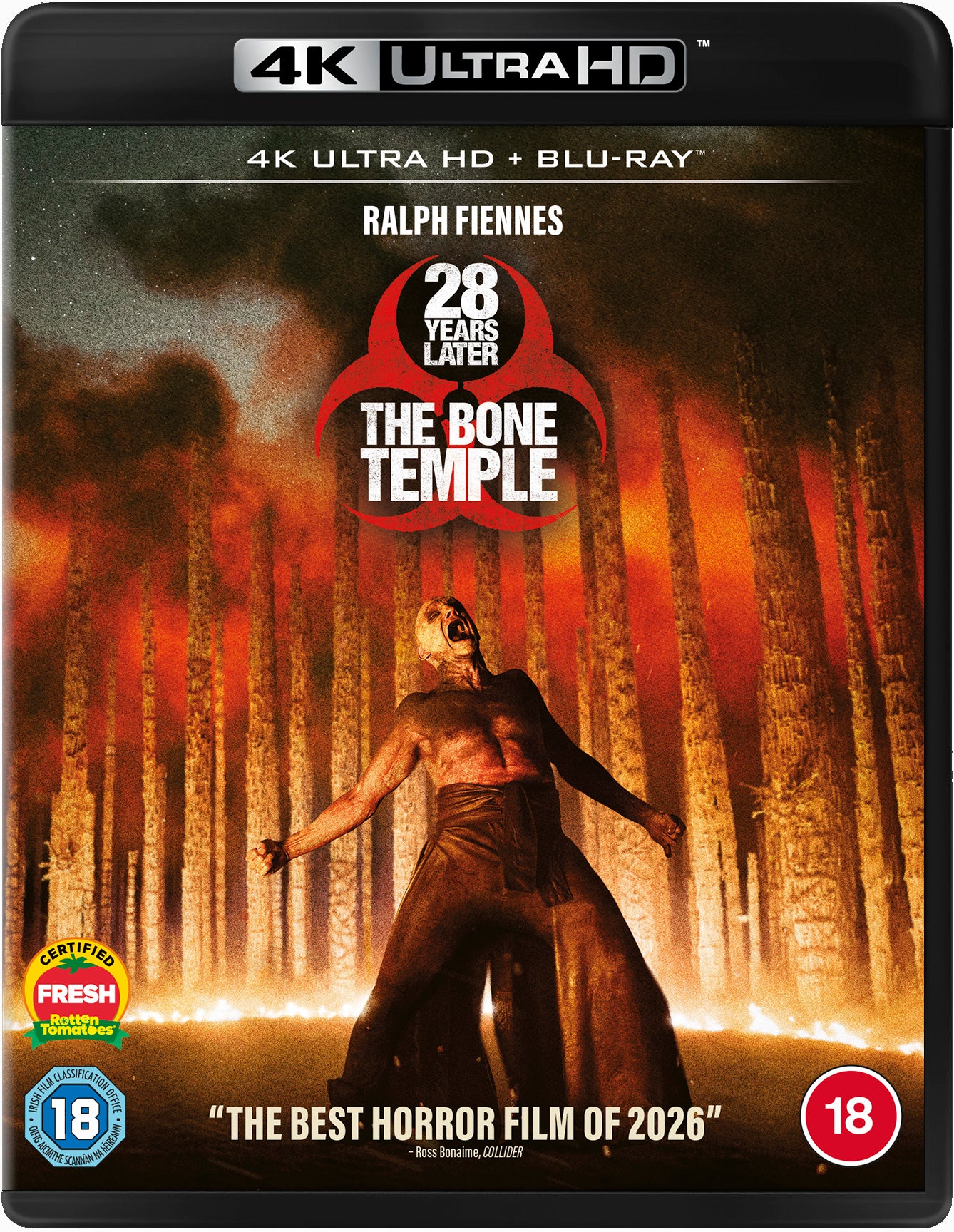 28 Years Later" movie cover featuring a figure in a red, fiery landscape.
